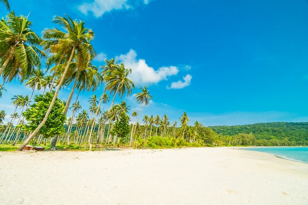 Beautiful nature tropical beach 