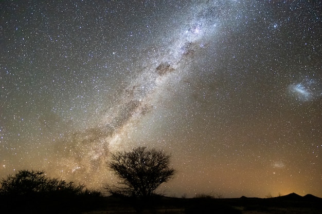 Free photo beautiful night landscape view of milky way and galactic core over etosha national park camping, namibia