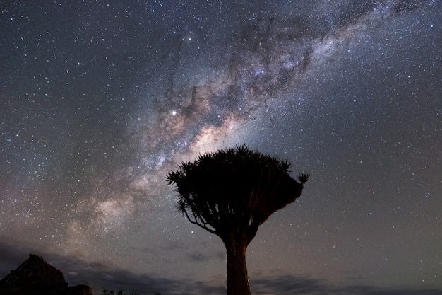 Free Photo beautiful night landscape view of milky way and galactic core over etosha national park camping, namibia