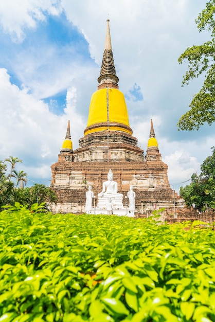 beautiful old architecture historic of Ayutthaya in Thailand