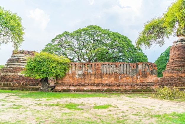 Free photo beautiful old architecture historic of ayutthaya in thailand