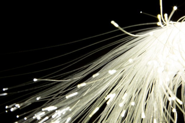 Free photo beautiful optical fiber detail