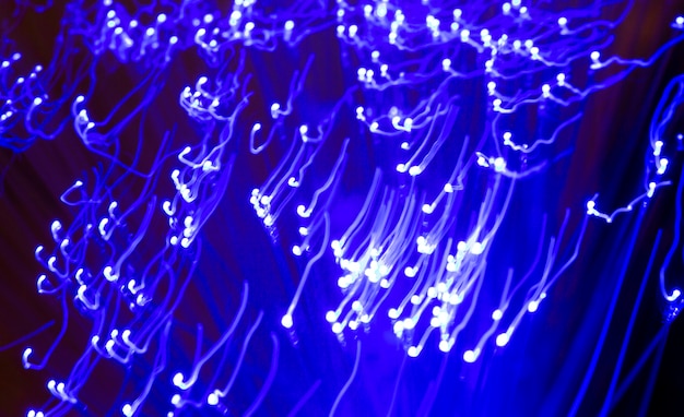 Free photo beautiful optical fiber detail