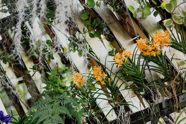 Beautiful orange flower arrangements 