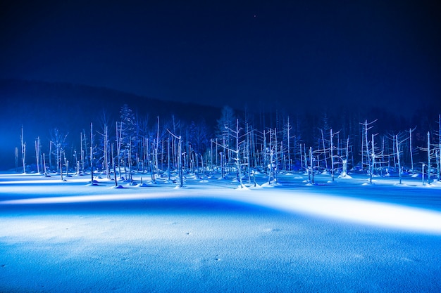 Free Photo beautiful outdoor landscape with blue pond river at night with light up in snow winter season