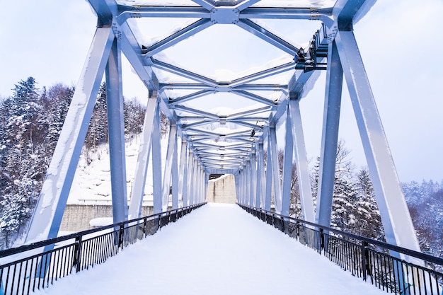 Beautiful outdoor nature landscape with shirahige waterfall and bridge in snow winter season