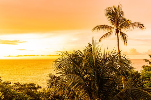 Beautiful outdoor tropical beach sea around samui island with coconut palm tree and other at sunset time