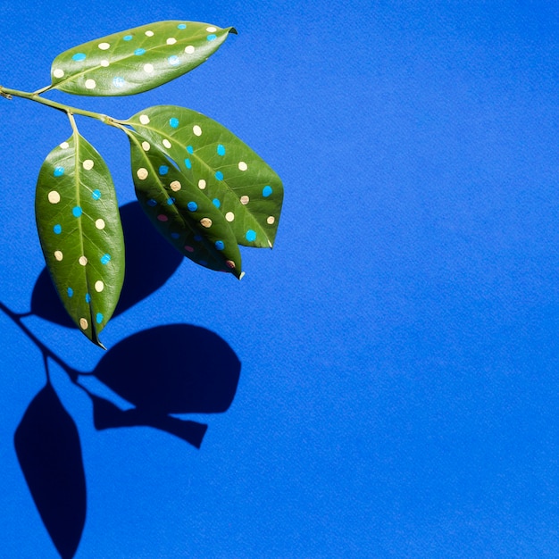 Beautiful painted leaves concept with shadows and copy space