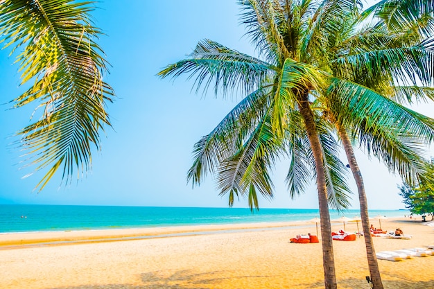 Beautiful palm tree on the beach