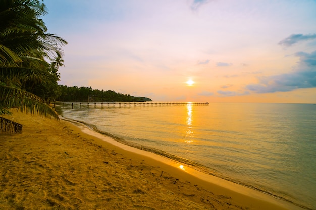 Beautiful paradise island with beach and sea around coconut palm tree