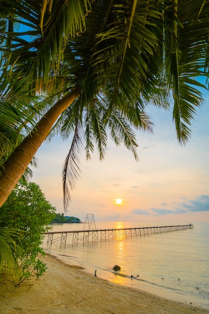 Free photo beautiful paradise island with beach and sea around coconut palm tree