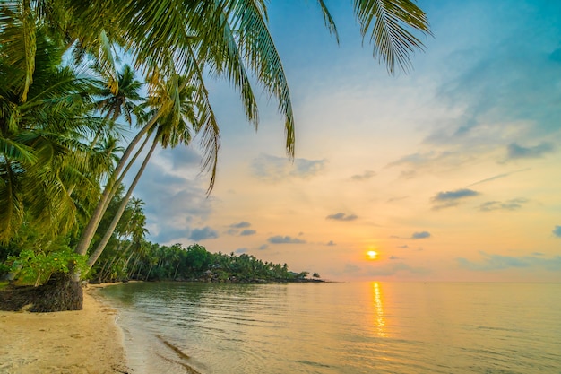 Beautiful paradise island with beach and sea around coconut palm tree