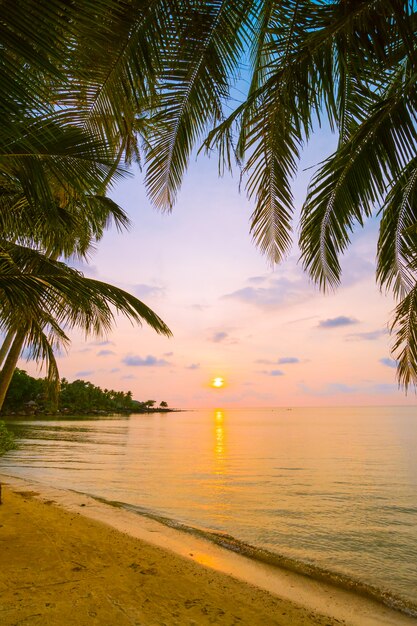 Beautiful paradise island with beach and sea around coconut palm tree