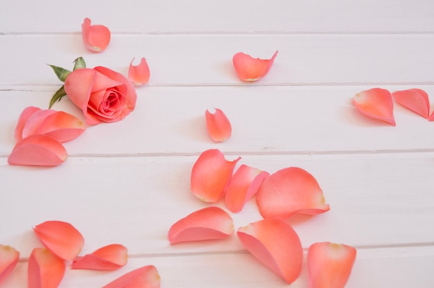 Free photo beautiful petals of a salmon color disposed over a white wooden table