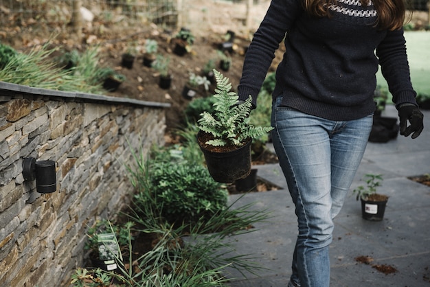 Free Photo beautiful picture of a female doing a gardening