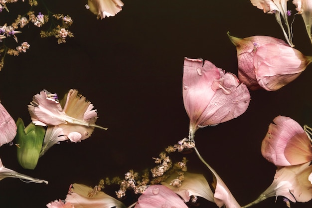 Free photo beautiful pink flowers in black water