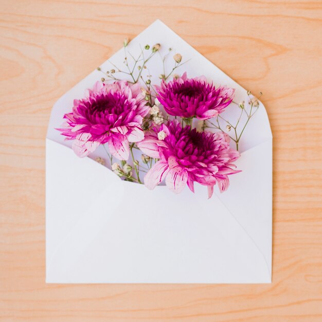 Beautiful pink flowers inside the white envelope on wooden backdrop