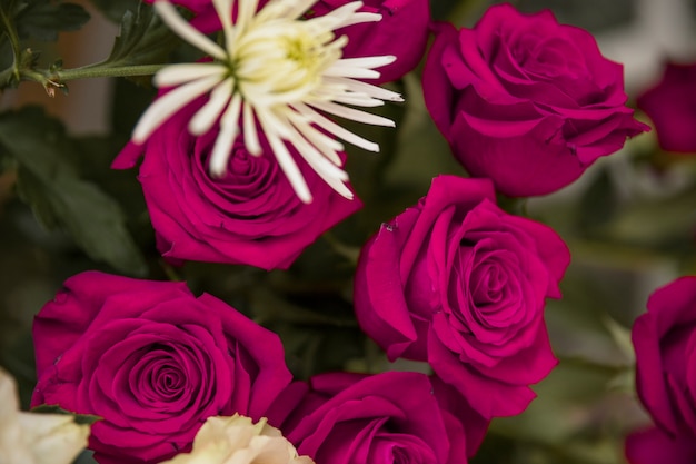 Beautiful pink roses in the bouquet