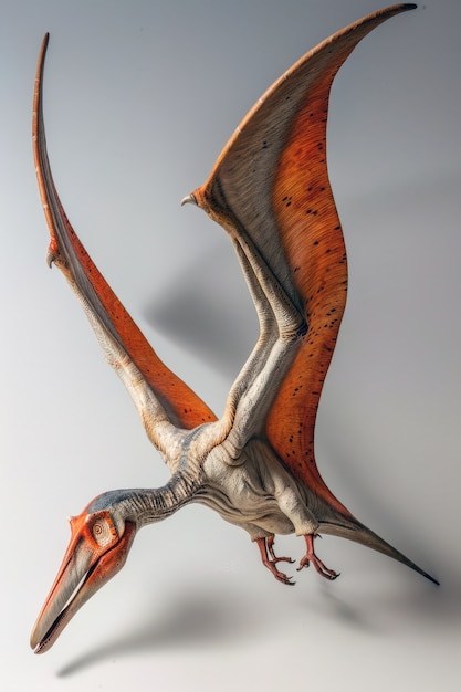 Free Photo beautiful pterodactylus details