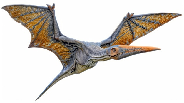 Free photo beautiful pterodactylus details