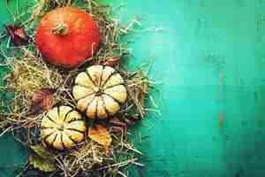 Free photo beautiful pumpkins on hay on turquoise background top view