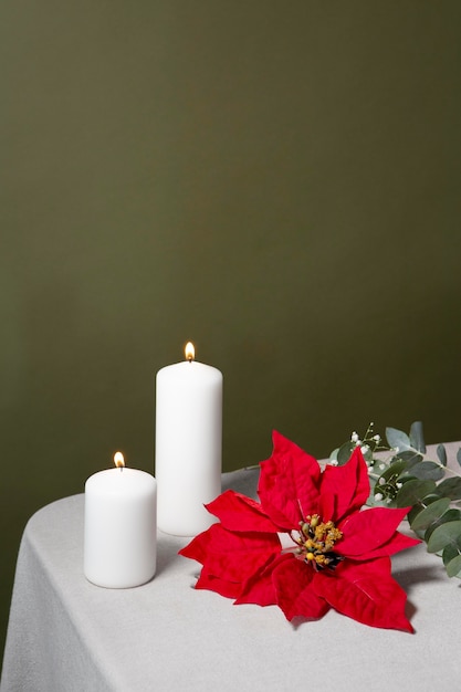 Beautiful red poinsettia assortment