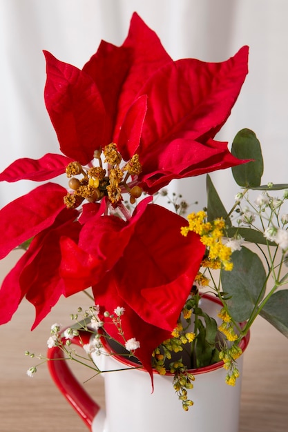 Beautiful red poinsettia assortment