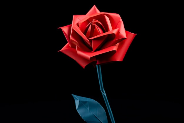 Free photo beautiful red rose in studio