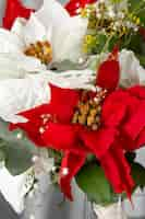 Free photo beautiful red and white poinsettia assortment