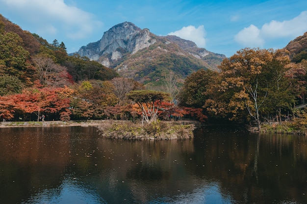 Beautiful reflection of trees on a lake with a tall mountain and a blue sky in the background