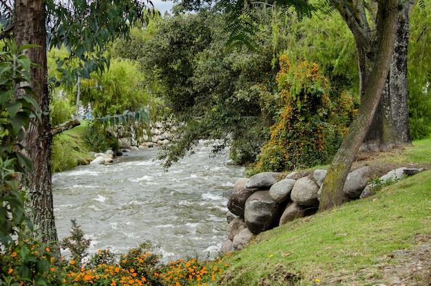 Free Photo beautiful river going through a countryside town park