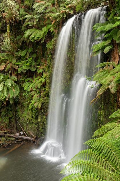 Beautiful river waterfall in the rainforest