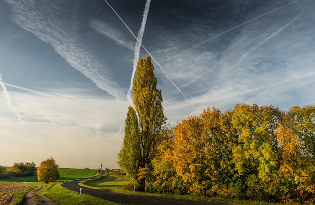 Free photo beautiful road going through the big trees on a grassy field with the cloudy sky