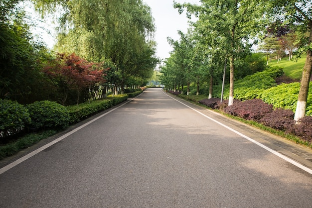 The beautiful road is surrounded by greenery