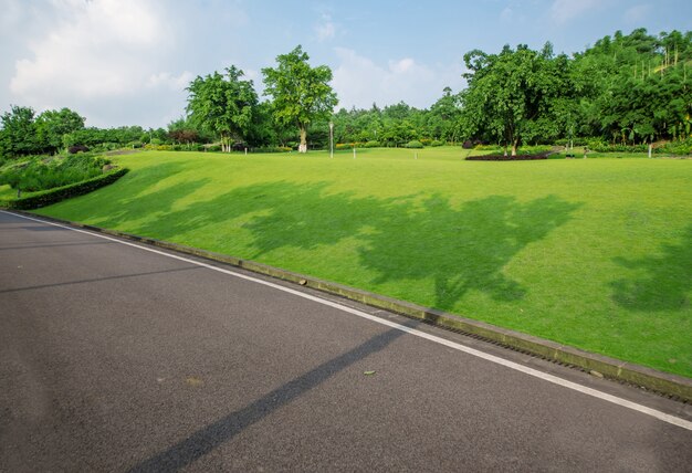 The beautiful road is surrounded by greenery