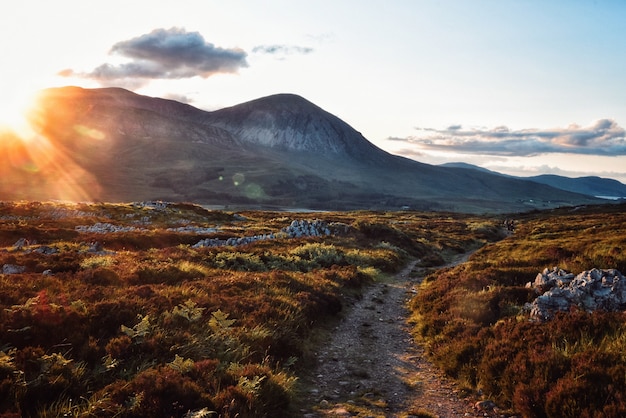 Beautiful rocky field with breathtaking sky