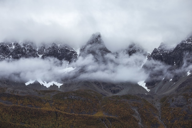 Free photo beautiful rocky mountains enveloped in fog in the early morning