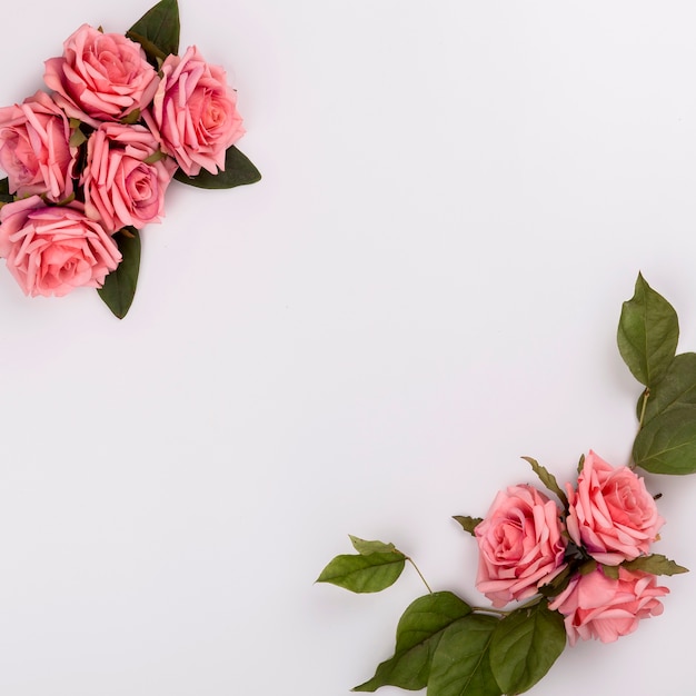 Beautiful rose compositions