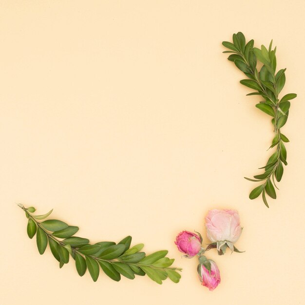 Beautiful roses and leaves twig over beige backdrop