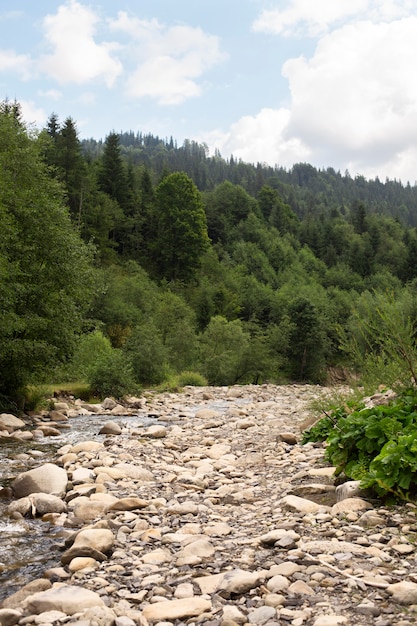 Free photo beautiful rural view with trees