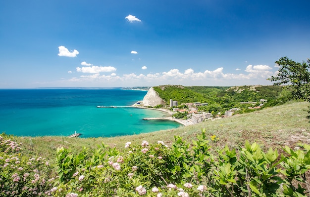 Beautiful scene of a town near a sea covered in green