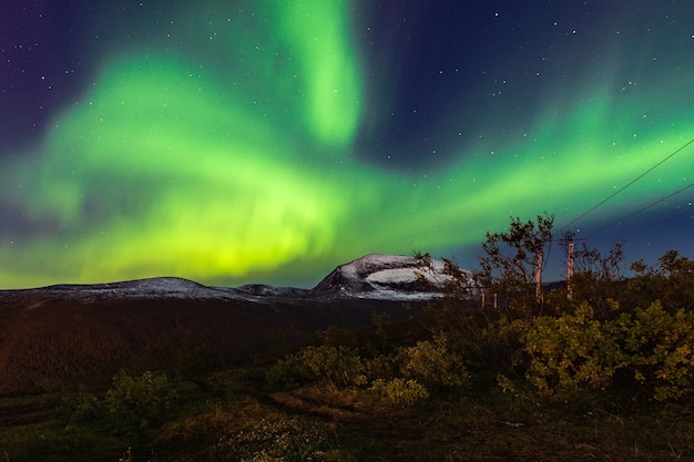 Free Photo beautiful scenery of aurora borealis in the night sky in tromso lofoten islands, norway