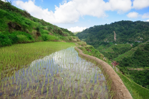 Beautiful scenery of Banaue Rice Terraces, Ifugao Province, Philippines