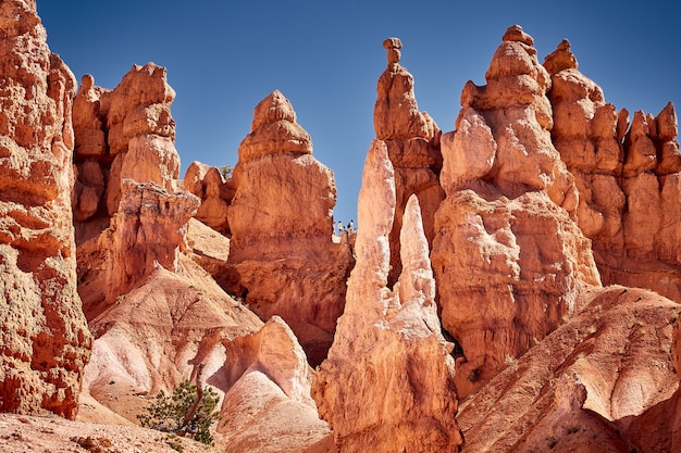 Beautiful scenery of a canyon landscape in Bryce Canyon National Park, Utah, USA