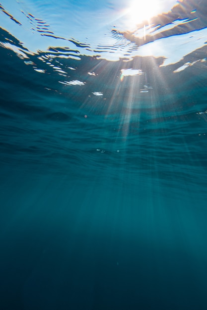 Beautiful scenery of the fascinating underwater world on the island of Bonaire, Caribbean