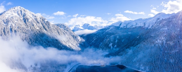 Beautiful scenery of a forest in the snowy Alps in winter