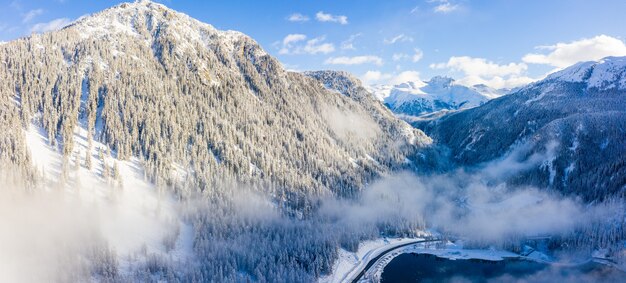 Beautiful scenery of a forest in the snowy Alps in winter