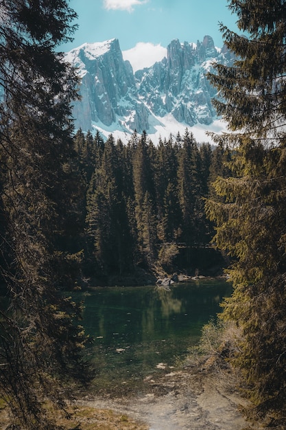 Free photo beautiful scenery of green trees near the body of water over high mountains