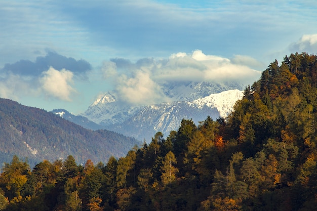 Beautiful scenery of green trees surrounded by high mountains in Bled, Slovenia