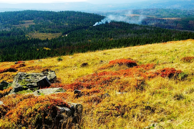 Free Photo beautiful scenery of the harz mountains and forests in germany in autumn